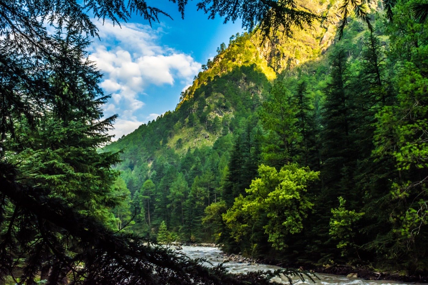 Beas & Beyond Tours — photo 6 of 7