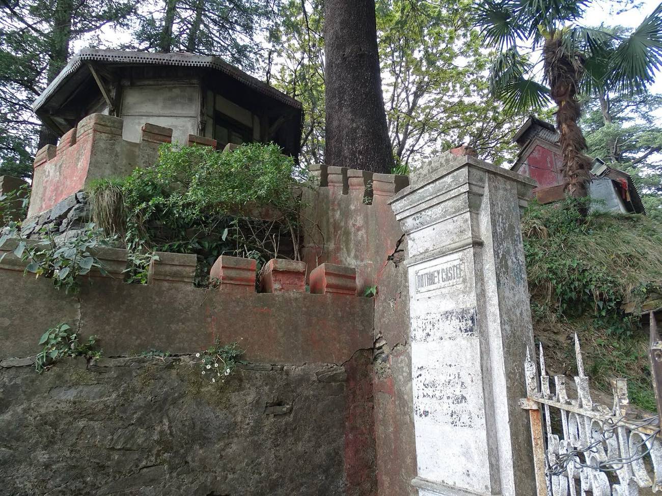 Beas & Beyond Tours — photo 7 of 7